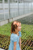 Claire // Gerber Daisy