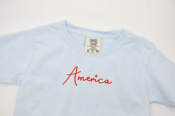 Youth Embroidered Tee //America on Light Blue