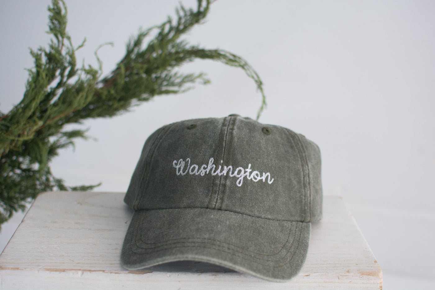 Ball Cap // Washington