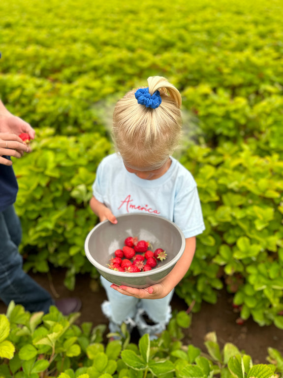 Mini Scrunchie // Yankee Doodle